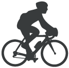 Total bike distance